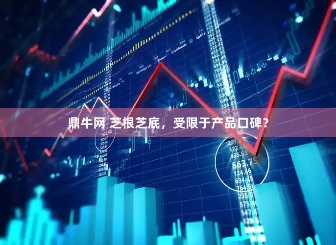 鼎牛网 芝根芝底，受限于产品口碑？